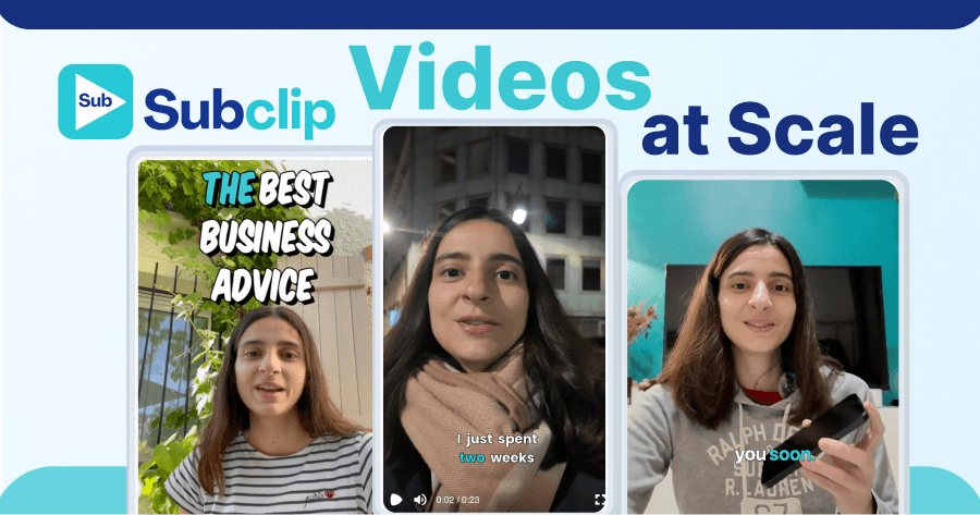 Subclip workflow overview